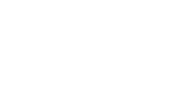 Automobilist